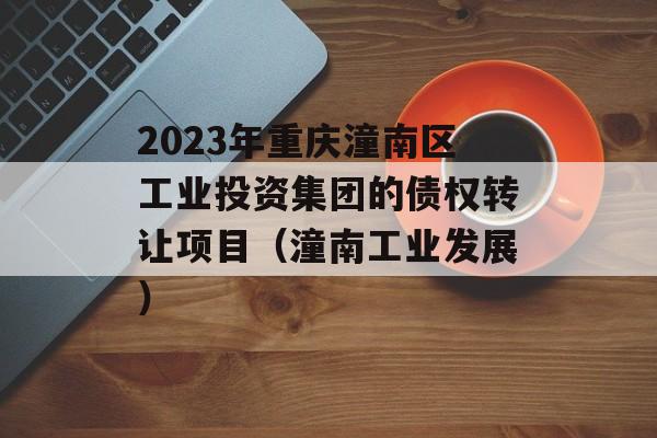 2023年重庆潼南区工业投资集团的债权转让项目（潼南工业发展）