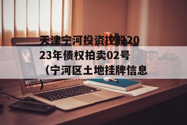 天津宁河投资控股2023年债权拍卖02号（宁河区土地挂牌信息）